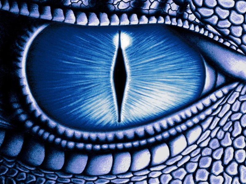 How and Why You Should Face Your&nbsp;Fears