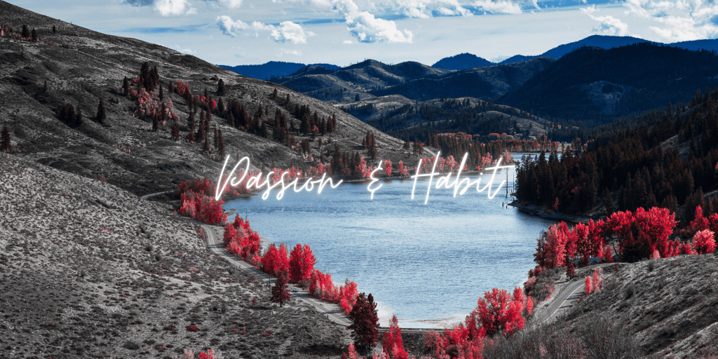 Masterclass Notes: James Patterson – Part 1 – Passion &&nbsp;Habit