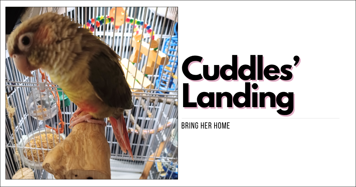 For Cuddles Who Taught me What Unconditional Love Really Meant